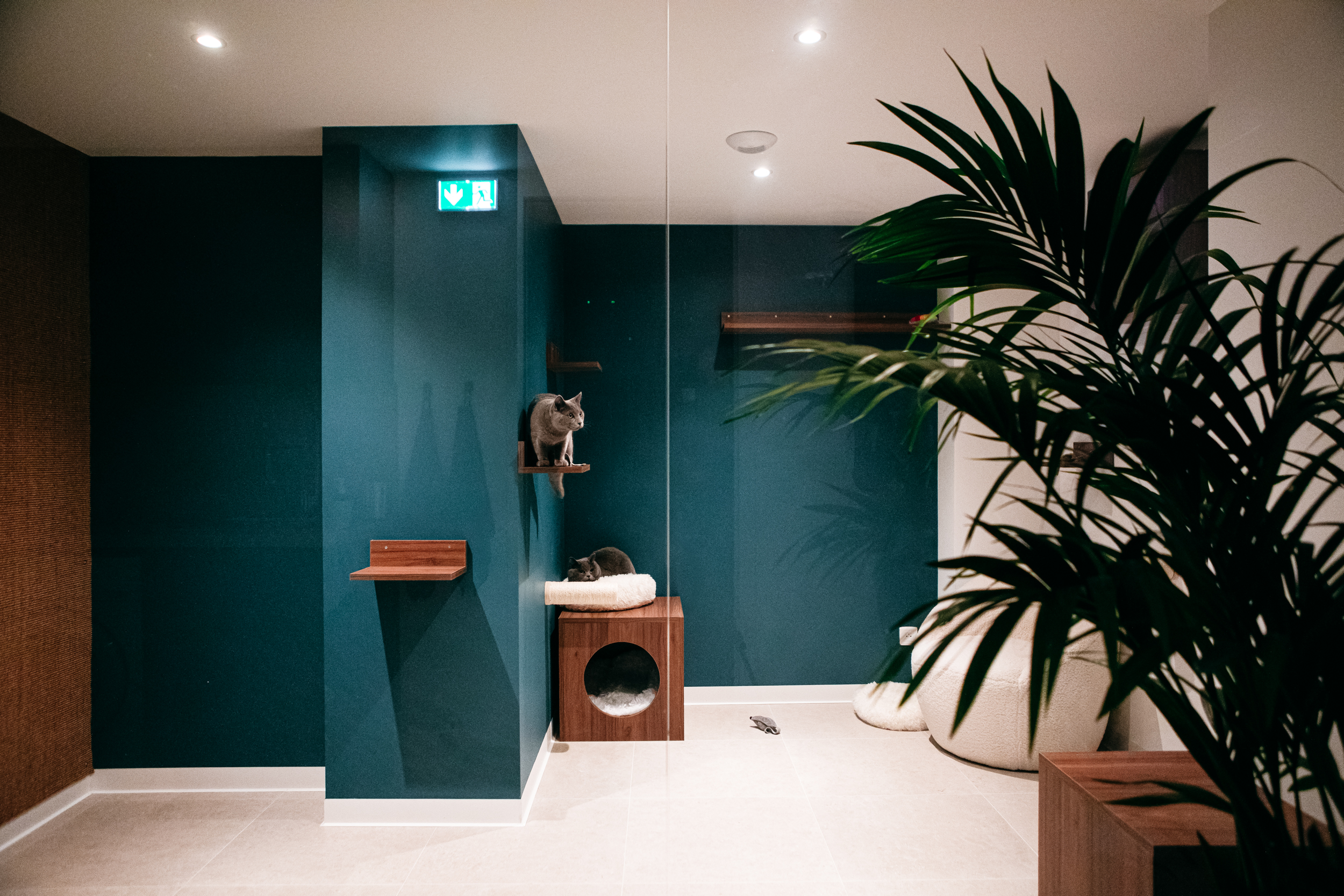 U.Design - Hotel Berlioz 3 Rue Alexandrie-58