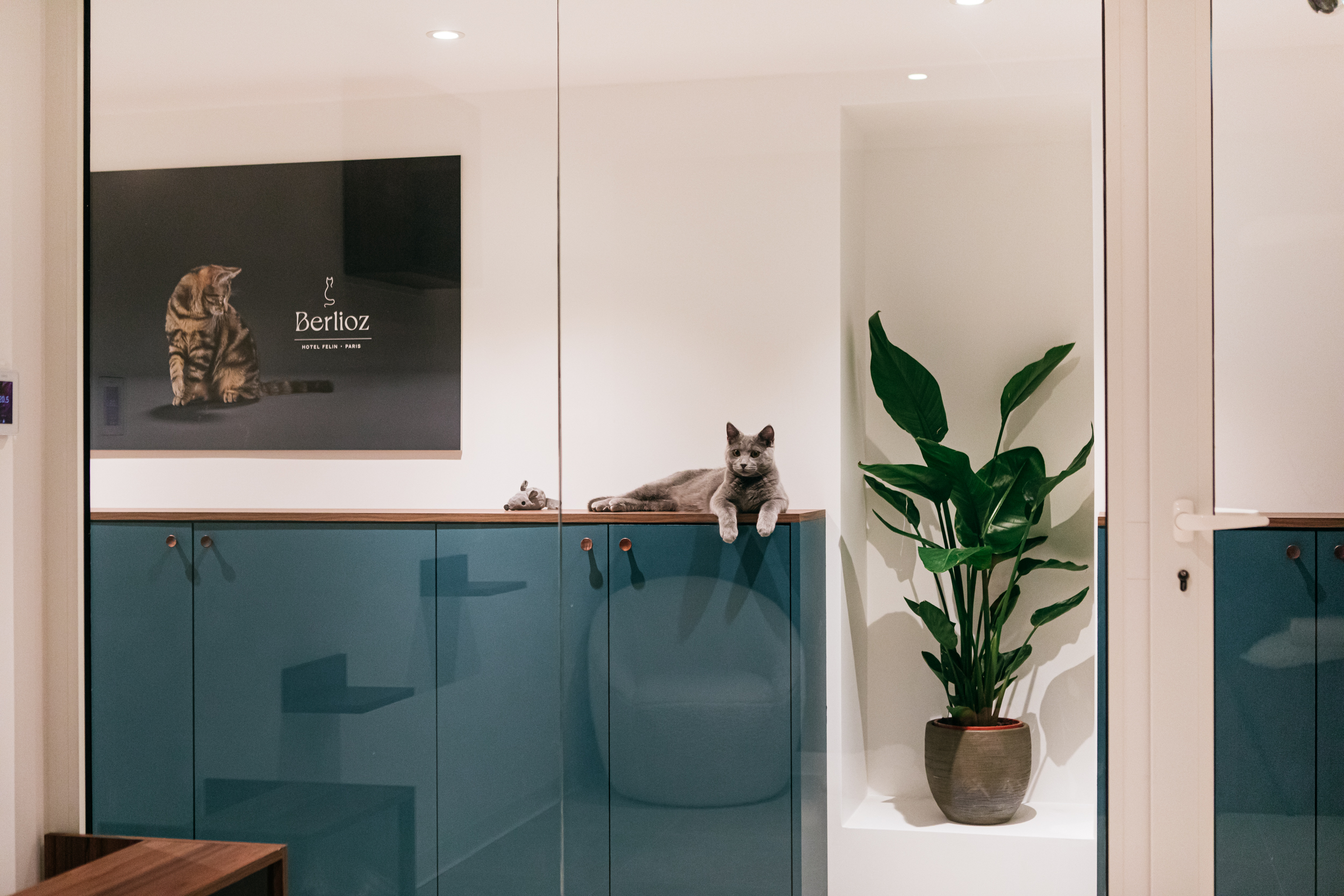 U.Design - Hotel Berlioz 3 Rue Alexandrie-60