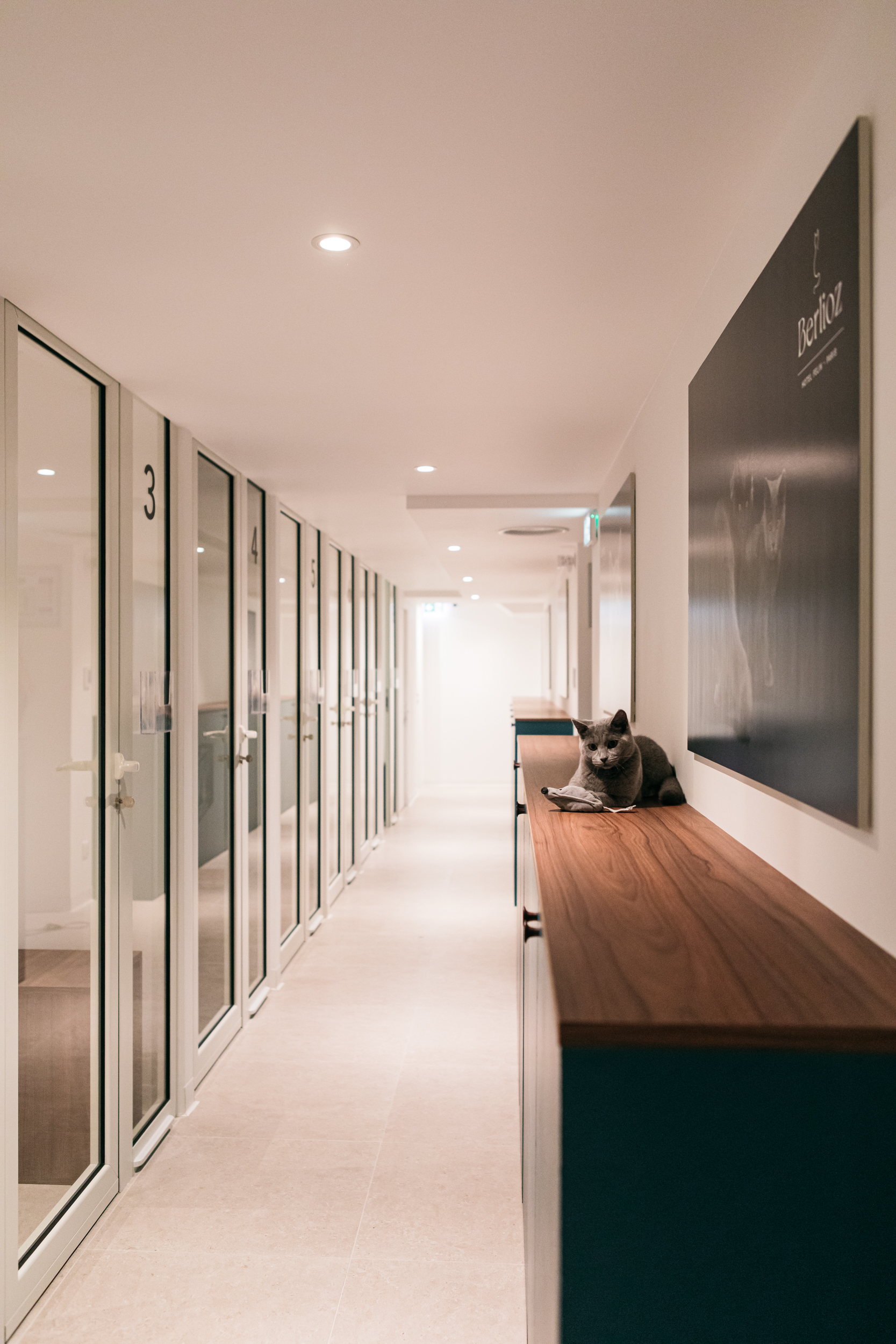U.Design - Hotel Berlioz 3 Rue Alexandrie-63